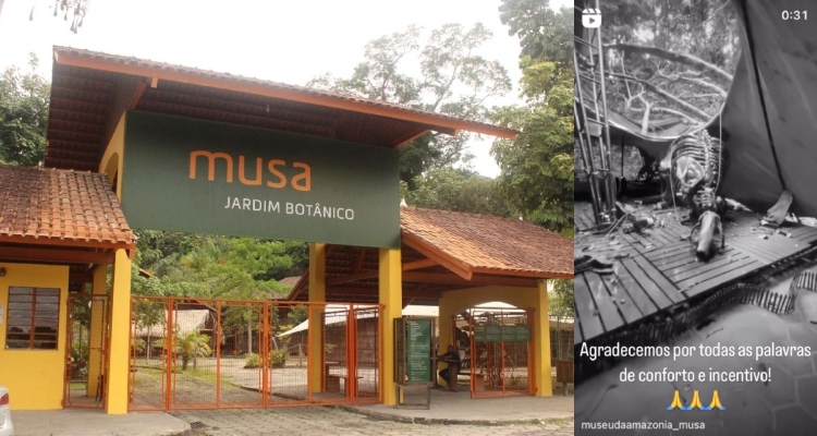 Apoiadores se solidarizam com o MUSA após árvore destruir exposição dos dinossauros; veja vídeo