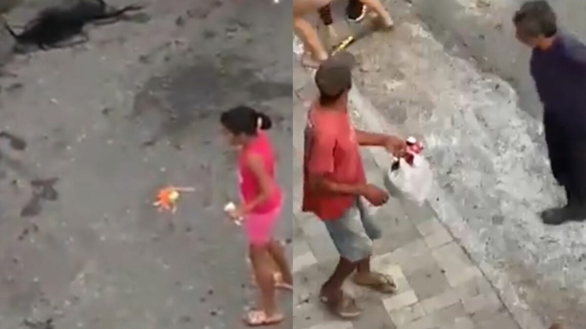Porradão de blindadas e marginais vira atração principal de bloquinho de carnaval; veja vídeo