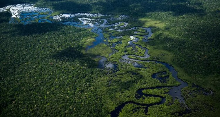 Projeto prevê divisão da Amazônia em cinco áreas de desenvolvimento