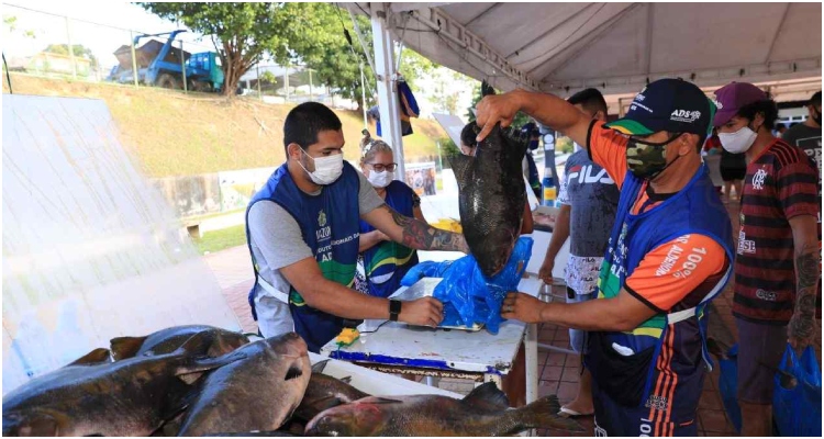 Consumidores podem adquirir pescado variado nas feiras da ADS no período de quaresma