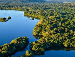 Estados da Amazônia Legal terão plano de segurança interinstitucional