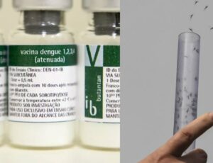 Anvisa aprova nova vacina contra dengue: "Qdenga"; saiba detalhes