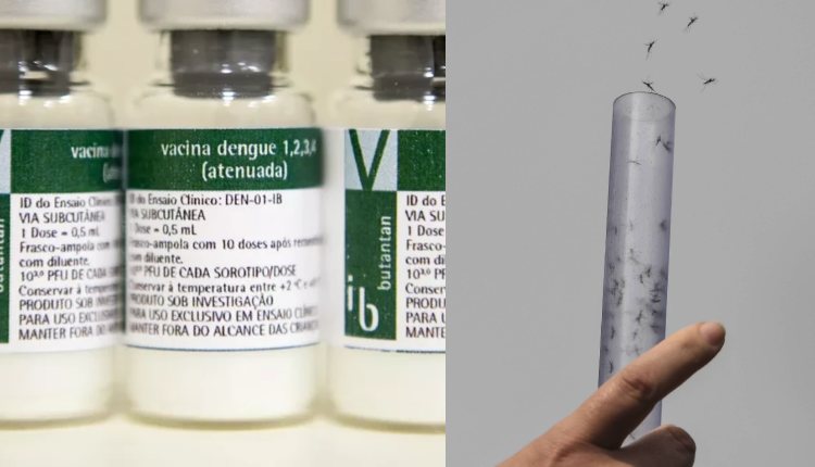 Anvisa aprova nova vacina contra dengue: “Qdenga”; saiba detalhes