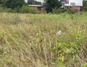 Flanelinha é encontrado morto em terreno abandonado no bairro Jorge Teixeira; veja vídeo