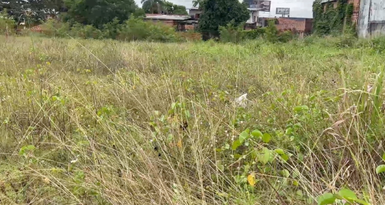 Flanelinha é encontrado morto em terreno abandonado no Jorge Teixeira; veja vídeo