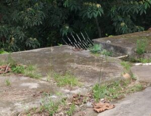 Urgente: homem é executado no bairro São Geraldo; veja imagens