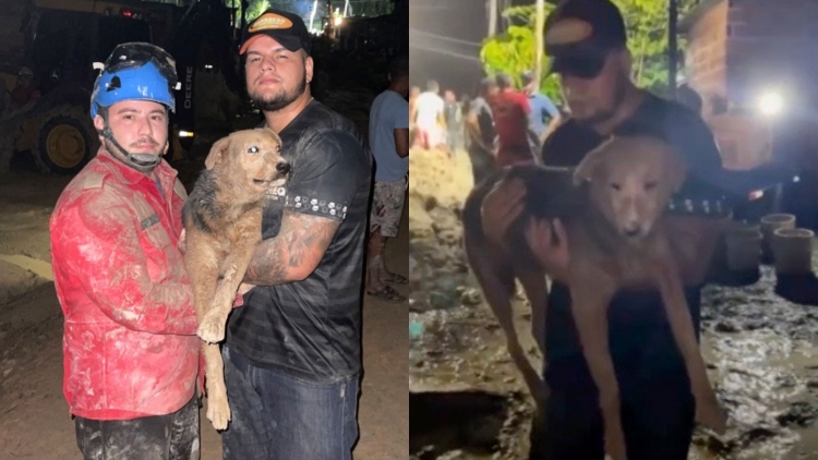 Cachorro é resgatado após deslizamento no bairro Jorge Teixeira: “estava soterrado!”; veja vídeo