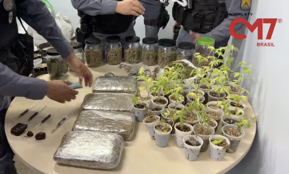 Luxuoso laboratório de maconha com direito a cardápio gourmet é descoberto no Japiim em Manaus