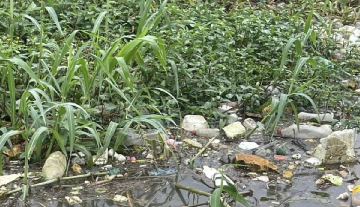 Urgente: corpo apodrecendo é encontrado boiando no igarapé da Matinha, em Manaus; veja vídeos