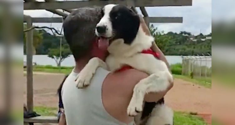 Final feliz: vítima de “policial maníaca” reencontra cadela sequestrada a mais de 1 ano; veja vídeo