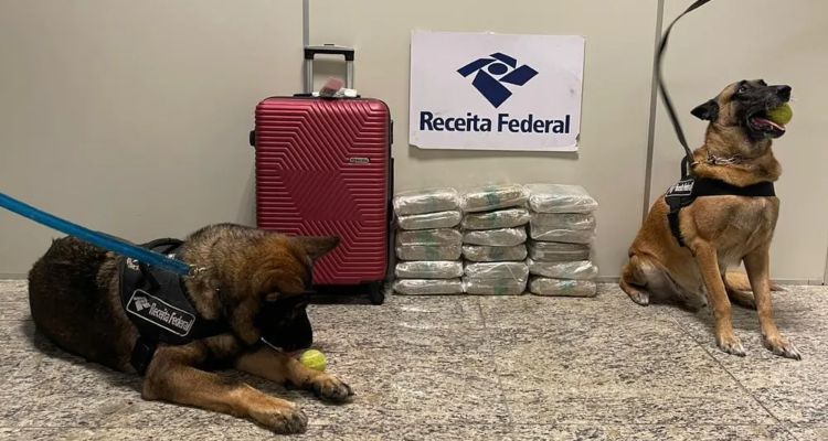 ‘Patricinha viajada’ é presa ‘até o talo’ de maconha em aeroporto de Manaus