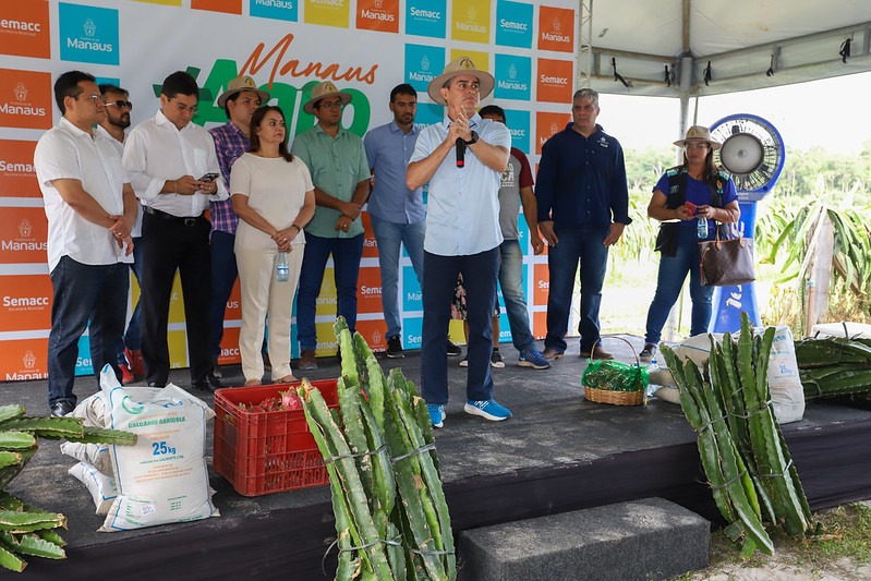 Prefeitura de Manaus fomenta o cultivo da pitaya e consolida a produção no cinturão verde da capital