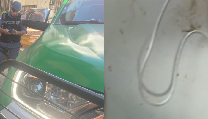 Urgente: mulher é torturada e assassinada na Compensa; veja imagem