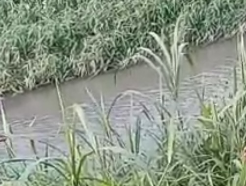 Urgente: corpo é encontrado boiando em igarapé no Riacho Doce; imagens fortes