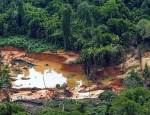 Operação contra garimpo ilegal prende dois militares no Amazonas