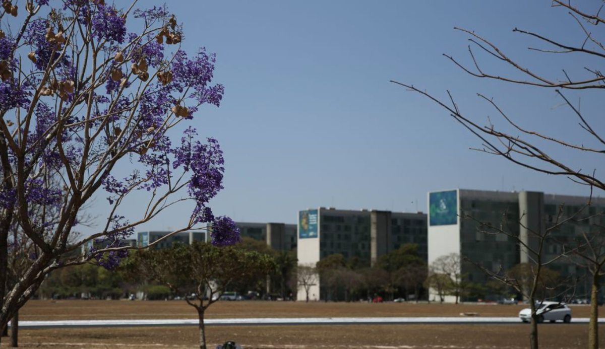 Cai participação de mulheres em cargos no Governo Federal