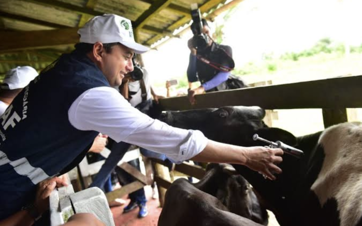 Governador Wilson Lima defende Pecuaristas do Amazonas após ações do IBAMA