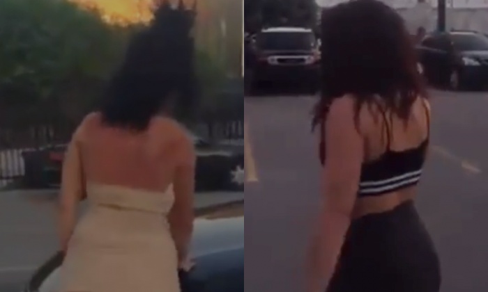 UFC de acompanhantes de luxo, que disputavam cliente, viraliza: “Lutou como uma virgem em apuros”; veja vídeo