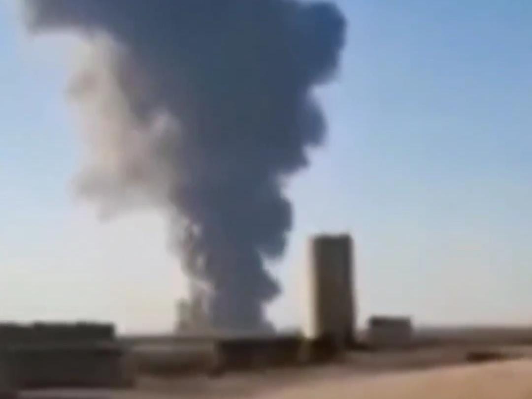 Mais de 18 mil vacas morrem em explosão que pode ter relação com os gases delas; veja vídeo