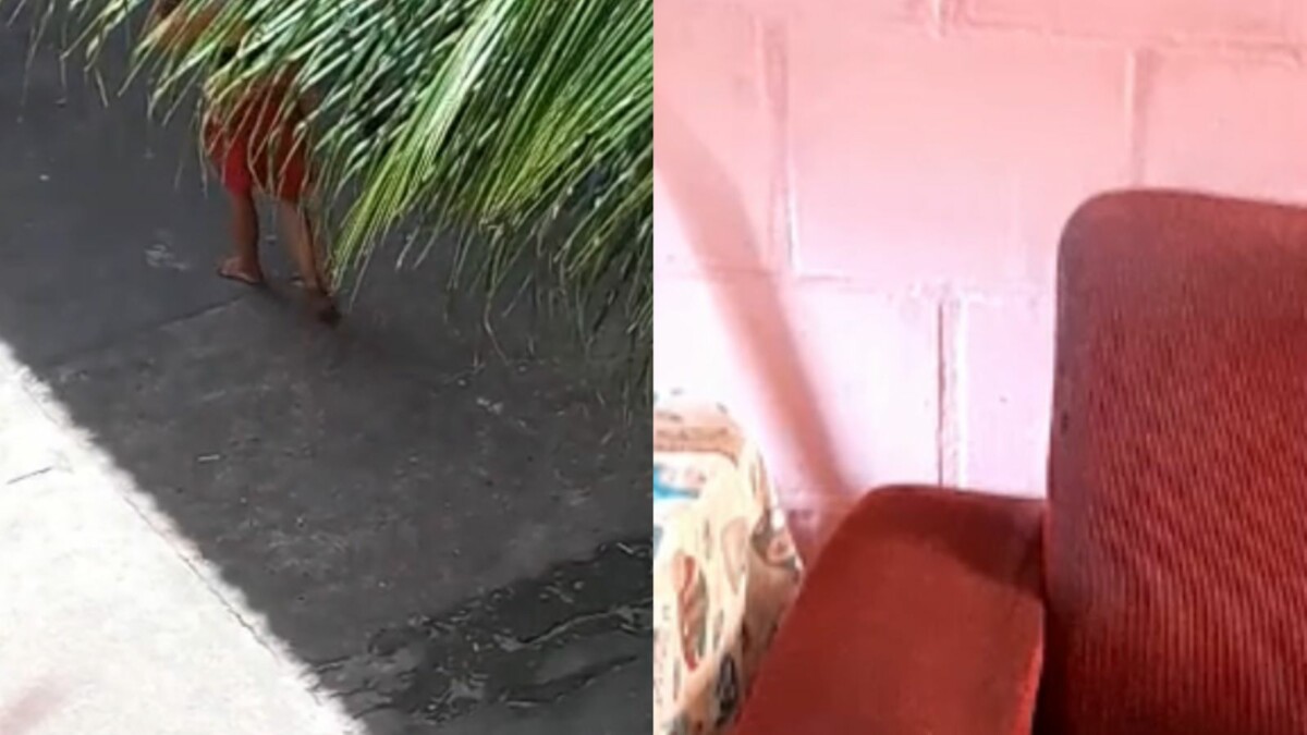 Homem vai comemorar que saiu da cadeia e acaba sendo m0rto pela própria irmã, em Manaus; veja vídeos