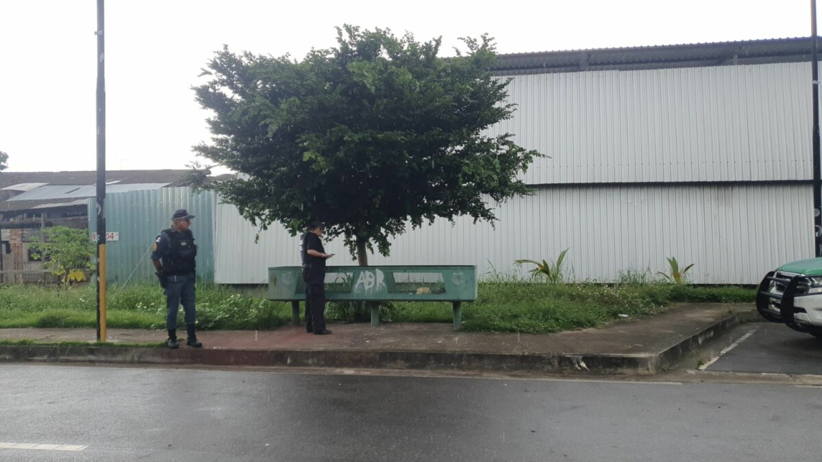 Barbaridade: fet0 em decomposição é encontrado dentro de lixeira na zona Sul de Manaus