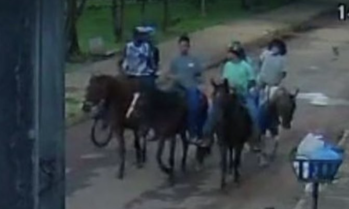 Menina de 14 anos é chamada para passeio a cavalo com amigos da escola e acaba sofrendo estupr0 coletivo