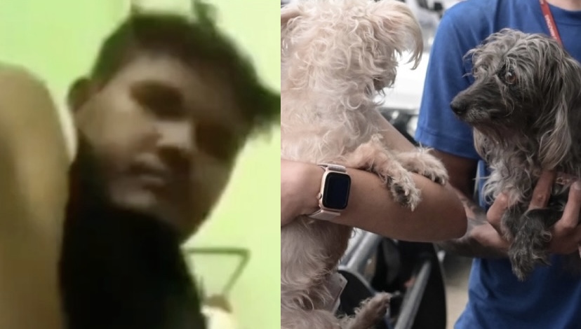 Revoltante: homem que gravou vídeo abus4ndo cadela é solto após prestar depoimento em Manaus