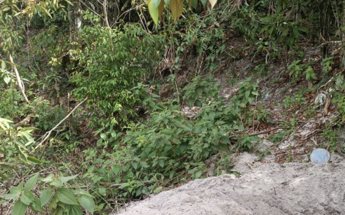 Urgente: vulgo ‘LK’ é encontrado enterrado em cova rasa na Zona Norte de Manaus; veja vídeo