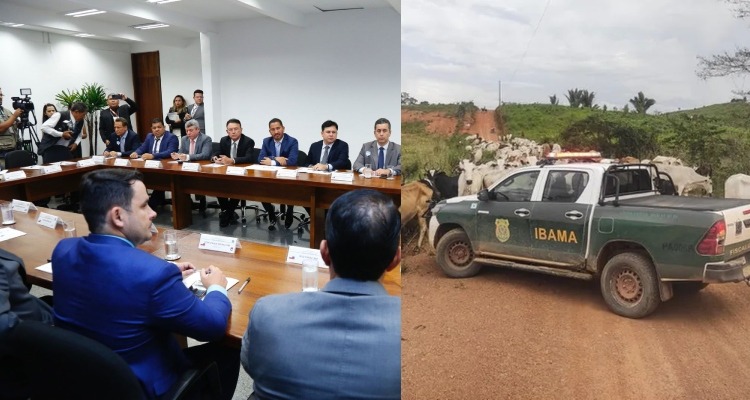 Capitão Alberto Neto mobiliza bancada do AM para impedir que IBAMA apreenda gados de pequenos produtores
