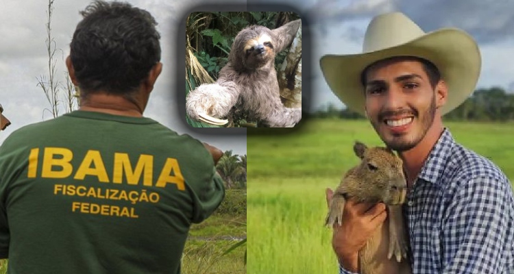 IBAMA rebate críticas dizendo que influenciador que cria Capivara já deixou Bicho-Preguiça morrer