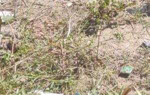 Homem morto a fac4das tem c0rpo abandonado no bairro
