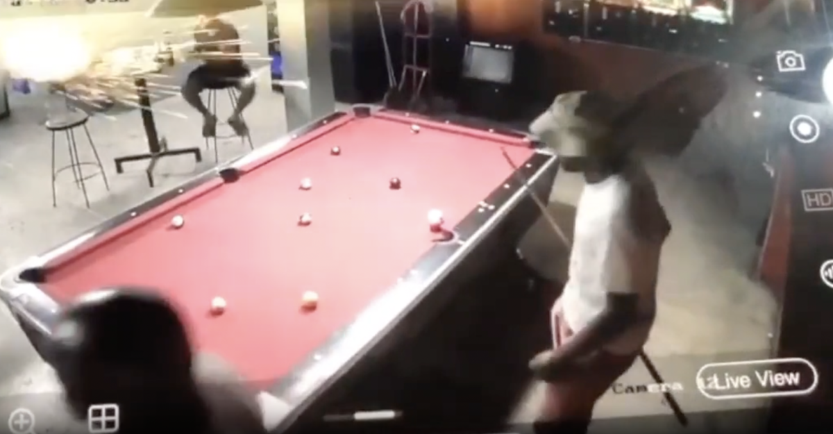 Pistoleiros com metralhad0ras invadem bar durante partida de sinuca e fazem chacin4; veja vídeo