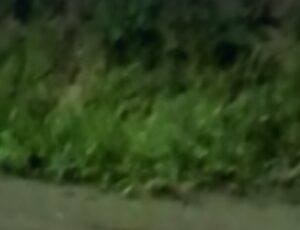 URGENTE: dois baleados ficam no "bico do Urubu" após tiroteio no Valparaíso; veja vídeo