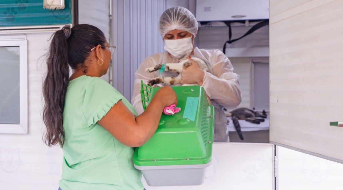 Prefeitura de Manaus oferta vacinação antirrábica na zona Sul da capital