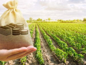 Agricultura familiar: governo garante desconto de 25% em financiamentos de crédito rural