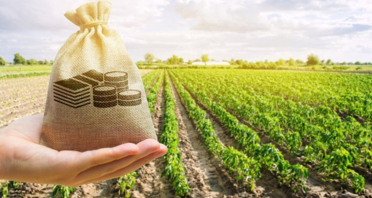 Agricultura familiar: governo garante desconto de 25% em financiamentos de crédito rural