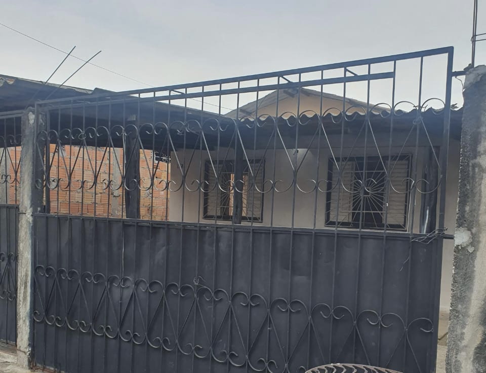 Barbaridade: 6 cachorros são assassinad0s por vizinhos por ‘latirem’ em abrigo no Nova Cidade