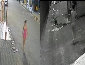 'Blindada' esfaquei4 cachorro e causa revolta no bairro Petrópolis, em Manaus; veja vídeo