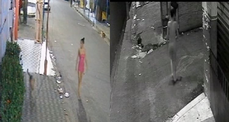 ‘Blindada’ esfaquei4 cachorro e causa revolta no bairro Petrópolis, em Manaus; veja vídeo