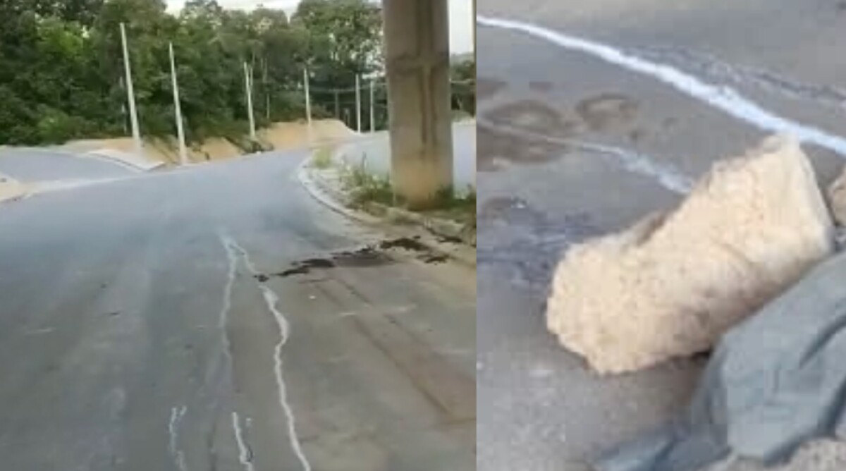 Mulher tem a cabeça esmagad4 a pedradas no Distrito Industrial I; veja vídeo