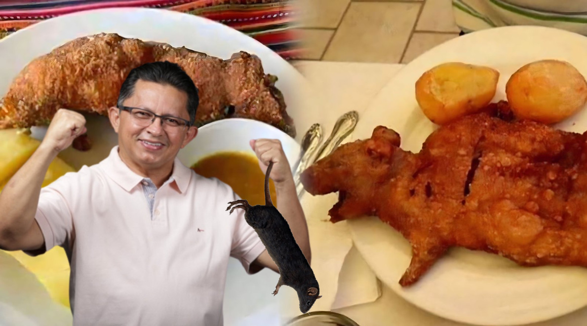 Deputado Sinésio Campos defende que venezuelanos se alimentem de ratos, desde que estejam vacinados; veja vídeo