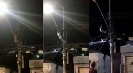 CENAS FORTES: homem mat4 companheira, tenta fugir e é eletrocutado