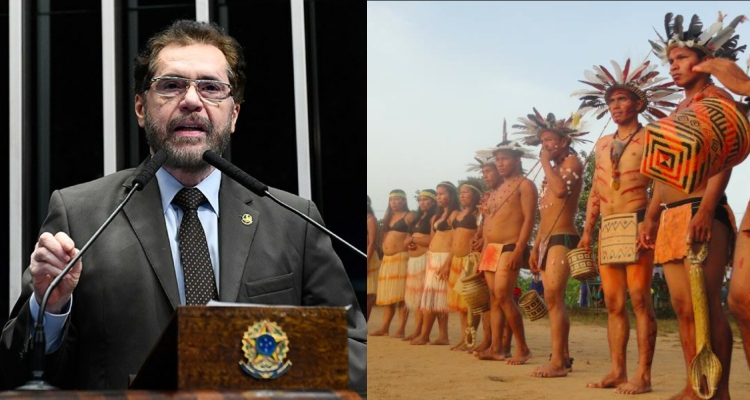 CPI das ONG’s deve ser instalada no Senado dia 14 de junho e convocará indígenas que se opõem às entidades