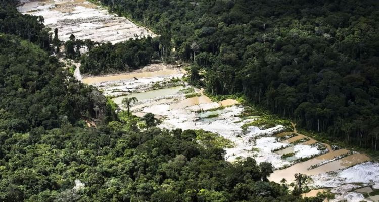 Força-tarefa destrói dez garimpos ilegais na Amazônia
