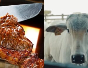 Preços do boi continuam subindo no Brasil e devem deixar picanha mais cara