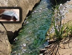 Homem com tornozeleira eletrônica é desov4do ao lado de esgoto no bairro Glória; veja vídeo