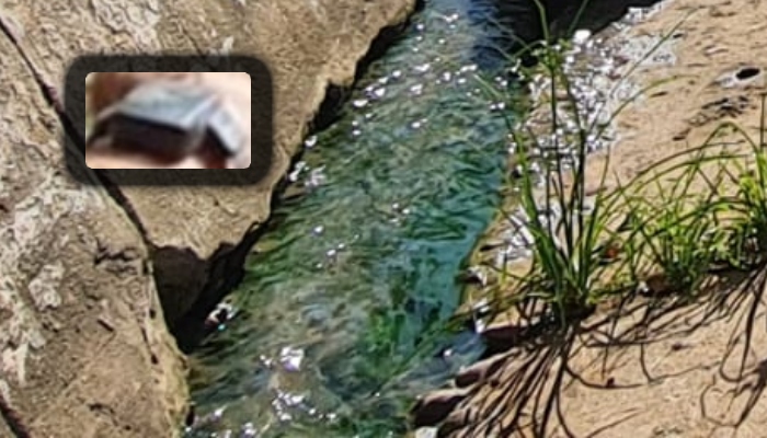 Homem com tornozeleira eletrônica é desov4do ao lado de esgoto no bairro Glória; veja vídeo