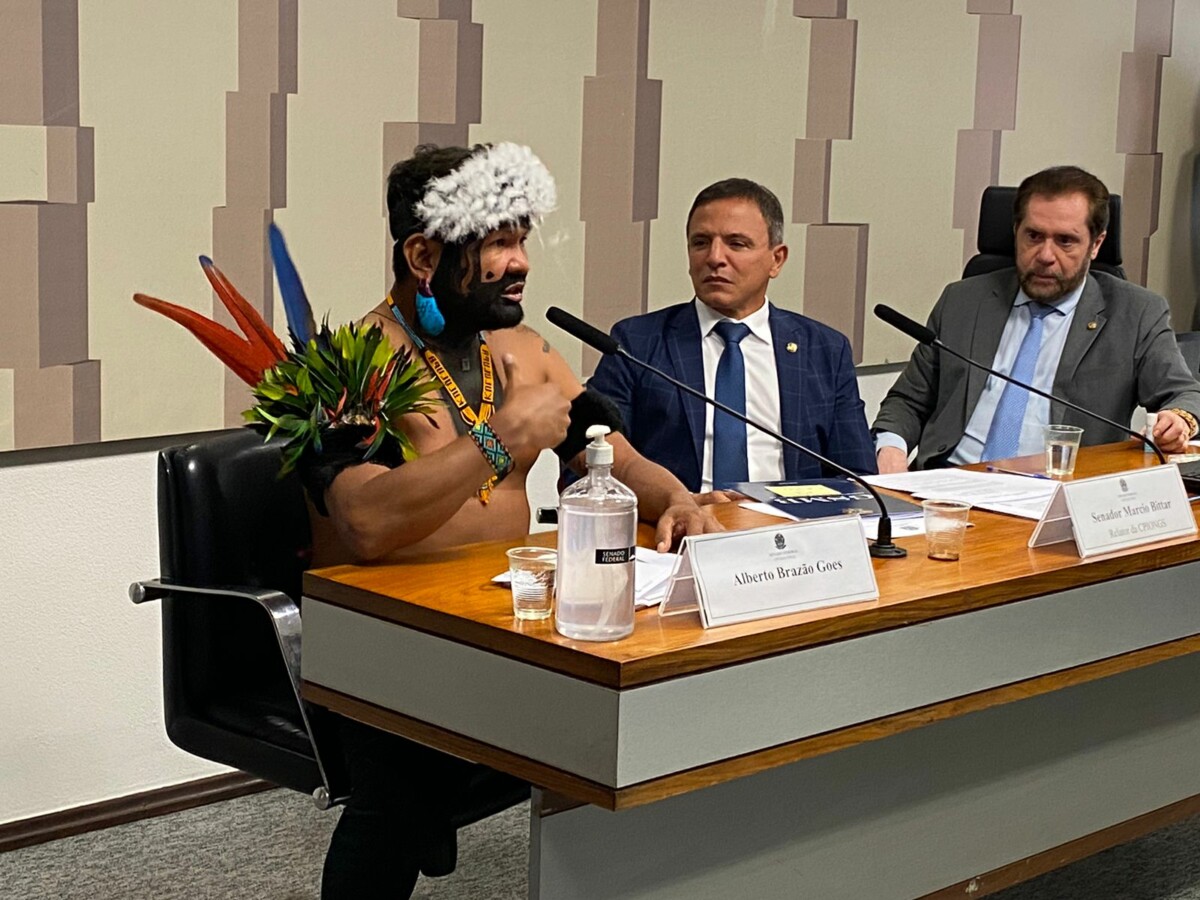 CPI das ONGs recebe denúncias de desvios e explorações na Amazônia