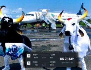 Preço dos voos de Manaus para Parintins na véspera do Festival superam R$ 20 mil