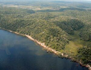 Desmatamento no Amazonas tem queda de 55% no primeiro semestre de 2023